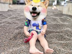 -咸宁万豪温泉谷度假区