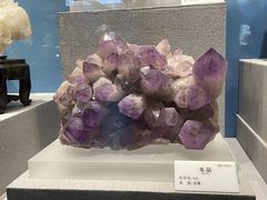 -贵州省地质博物馆