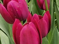 -长春公园(普阳街道)