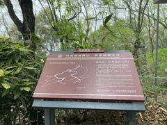 -九曜山