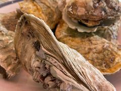 -杨氏青龙虾·羊蝎子(珠江路店)