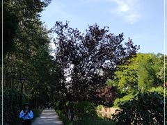 -元大都城垣遗址公园