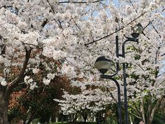 -堤角公园