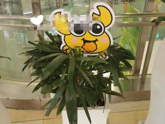 -鹏欣水游城