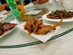 -上海都市菜园