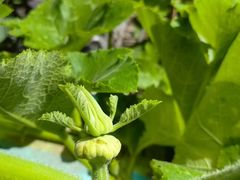 -白渔泡湿地公园