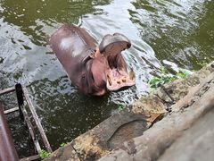 -海南热带野生动植物园