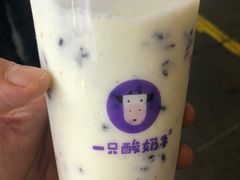 -一只酸奶牛(八一路店)