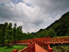 -广州市石门国家森林公园