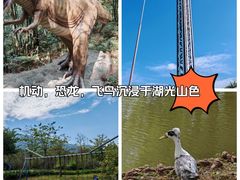 -森波拉奇妙世界