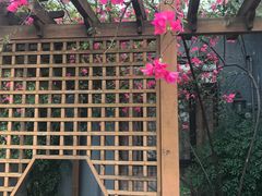 -陶然居·重庆菜(南滨路店)