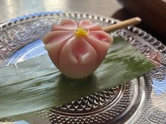 -觀芷隐轩