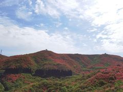 -大围山国家森林公园