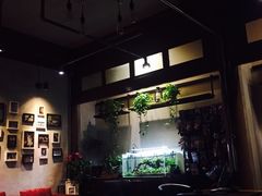 -百好乐宠物友好餐厅(朝外大街店)