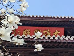 -灵谷景区