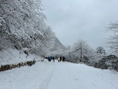-峨眉山风景名胜区