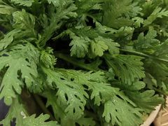 -芦月轩羊蝎子(太平桥店)