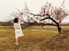 -盘龙城国家考古遗址公园