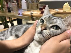 -小时光咖啡馆(开森度假森林店)