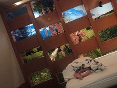 -世外桃源水疗会(皇庭彩园店)