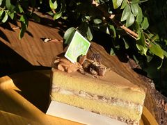 -倾城密码(大唐店)