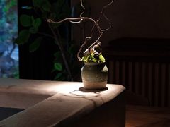 -元古雲境(太古里店)