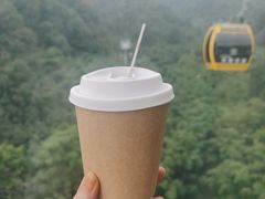 -栾川竹海野生动物园