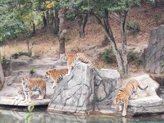 -宁波野生动物园