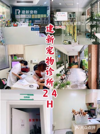 建新宠物诊所（24H｜健康让陪伴更长久