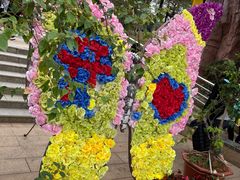 -松山湖梦幻百花洲