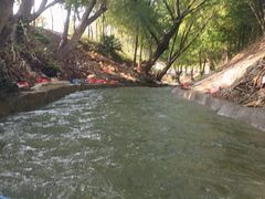 -天目湖松岭竹海漂流