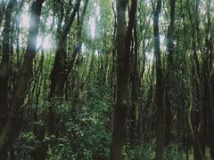 -同里国家湿地公园