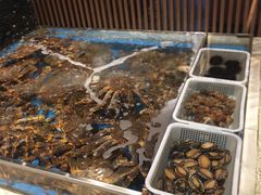 -蟹将军·松叶蟹和牛日料放题自助(K11店)