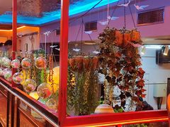 -小红帽自助盒饭(故宫大帅府店)