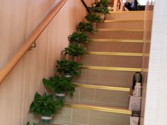 -枫泾丁氏烧卖(枫丽路店)