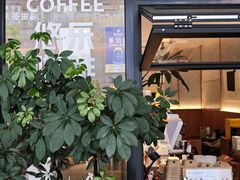 -YOLO COFFEE悠乐咖啡