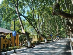-T80科技文化国际社区-停车场