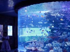 -左海海底世界