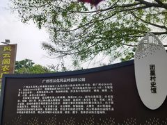 -风云岭森林公园