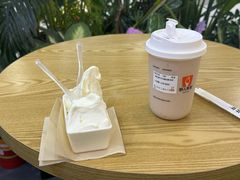 -野人先生Gelato(上海长宁龙之梦店)