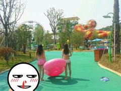 -苏州乐园森林水世界