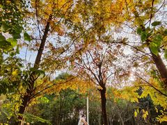 -白鹭湾湿地公园