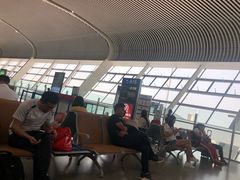 -合肥新桥国际机场-航站楼