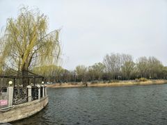 -稻香湖景欢乐岛温泉城堡