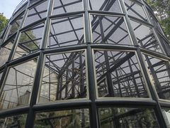 -石排湾郊野公园