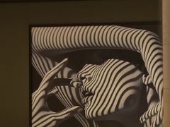 -武汉马哥孛罗酒店