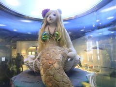 -济州岛泰迪熊博物馆