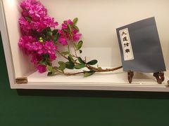 -昆明市金殿名胜区