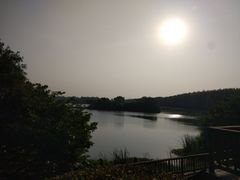 -大湾区中央湿地公园