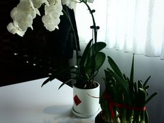 -京兆尹(雍和宫店)